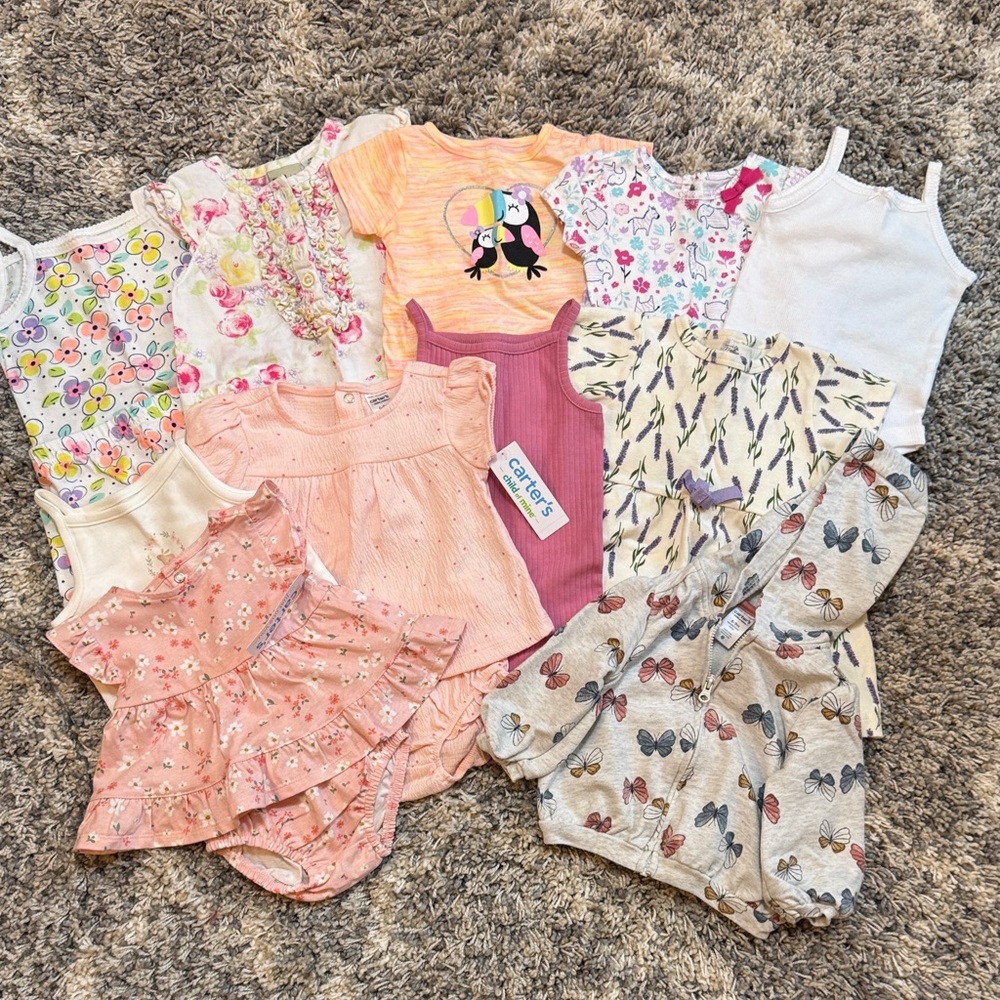 Lot of Baby Girl Clothes (6-9M)